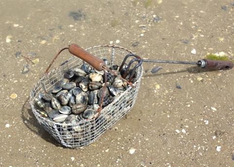 Prêt de matériel de pêche à pied au camping 3 étoiles Le Rivage à Saint Jean de Monts en Vendée