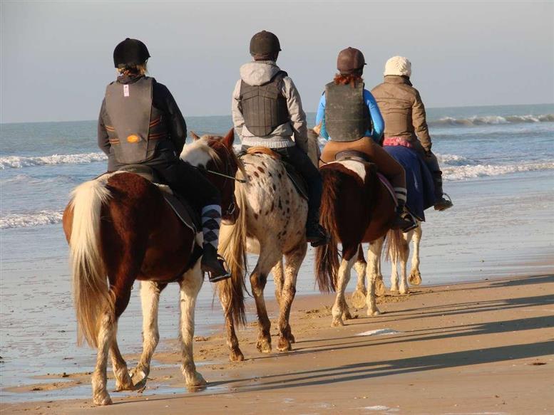 Nellys' Ranch Balades à cheval à Saint Jean de Monts en Vendée